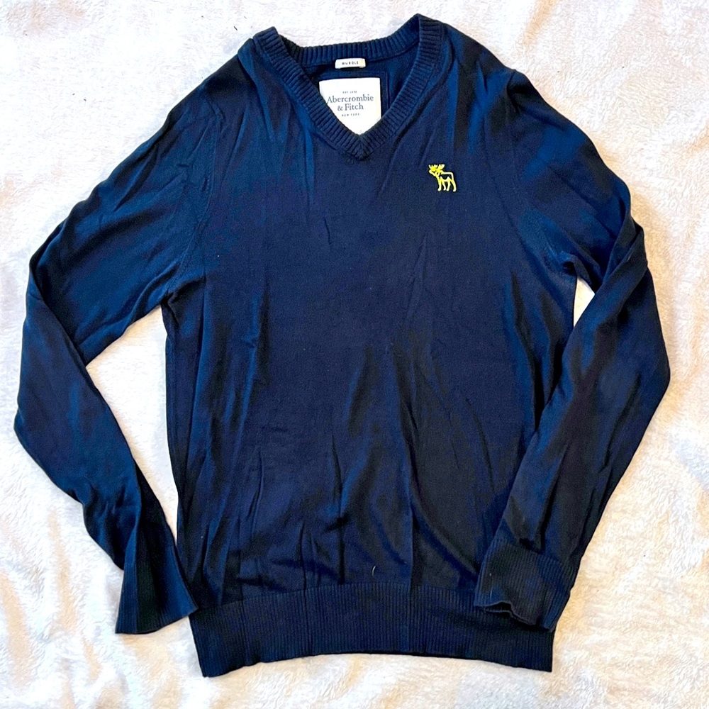 Mens Lg Abercrombie v neck sweater